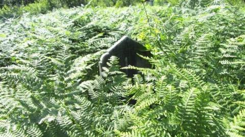 Photo from Spragge cemetery