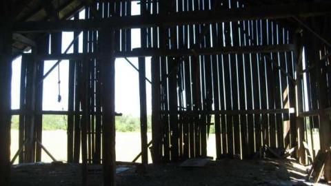 Photo from Barn