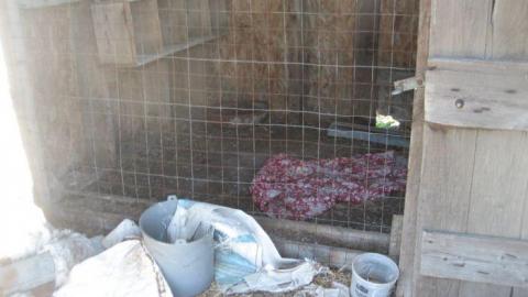 Stucco - Trashed-(near-Holly)12.jpg