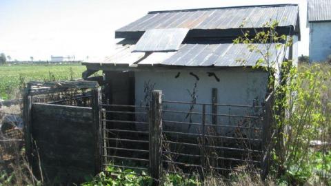 Stucco - Trashed-(near-Holly)14.jpg