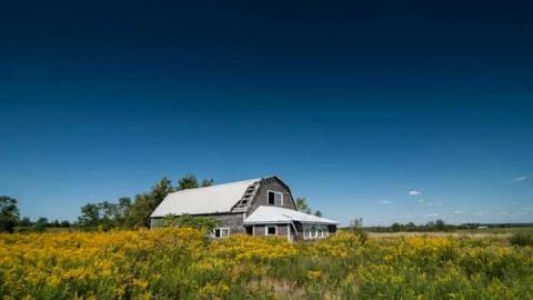 House of a 1000 wasps - Kawartha-Downs-Speedway-House55.jpg