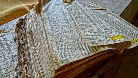 House of a 1000 wasps - Kawartha-Downs-Speedway-House57.jpg