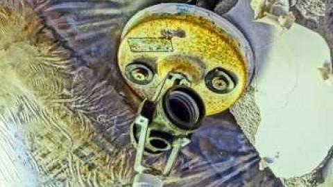 House of a 1000 wasps - Kawartha-Downs-Speedway-House59.jpg