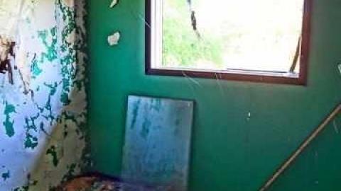 House of a 1000 wasps - Kawartha-Downs-Speedway-House60.jpg