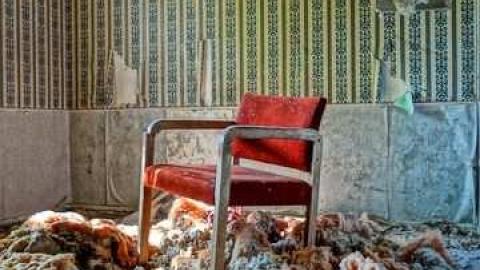 House of a 1000 wasps - Kawartha-Downs-Speedway-House63.jpg