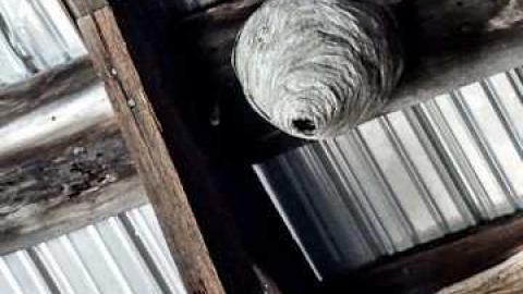 Kawartha Downs Speedway House - Cavan Monaghan, Ontario