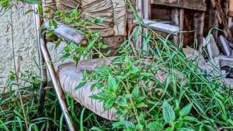 House of a 1000 wasps - Kawartha-Downs-Speedway-House67.jpg