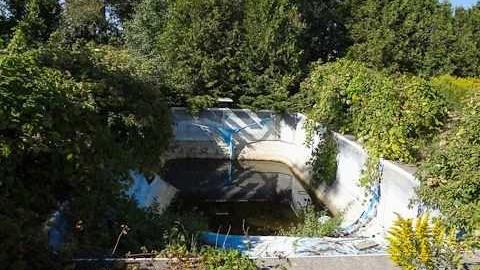 House of a 1000 wasps - Kawartha-Downs-Speedway-House75.jpg