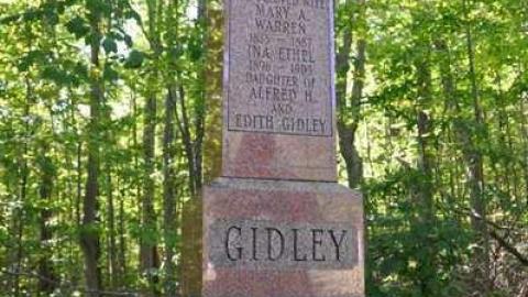 Old Cemetary - Tiny Township - Old-Cemetery10.jpg