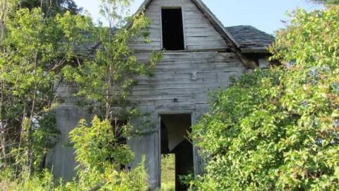 serpant river farmhouse - Take-the-High-Road8.jpg