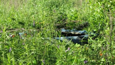 serpant river farmhouse - Take-the-High-Road1.jpg