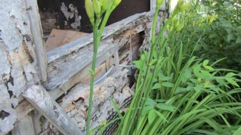 serpant river farmhouse - Take-the-High-Road4.jpg