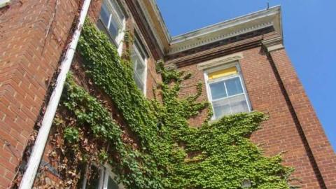 East Ward/ Connaught School - Connaught-Public-School4.jpg