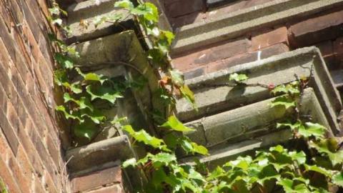 East Ward/ Connaught School - Connaught-Public-School10.jpg