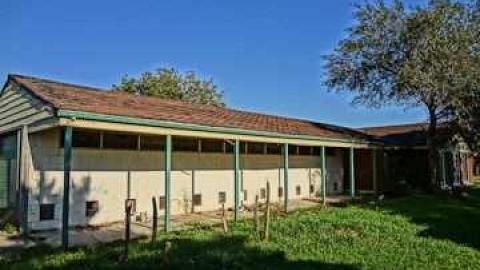 Dog days - DSC01123.jpg