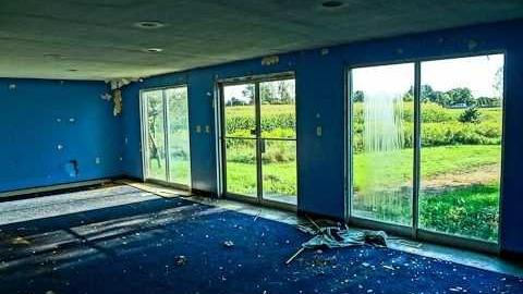 Dog days - DSC01118-2.jpg