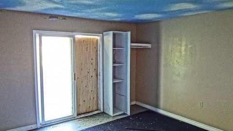 Dog days - DSC01097.jpg