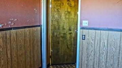 Dog days - DSC01102.jpg