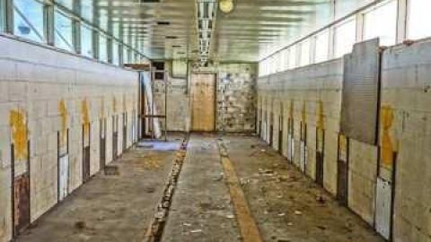 Dog days - DSC01103.jpg