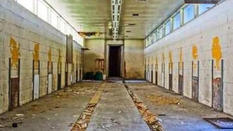 Dog days - DSC01106.jpg