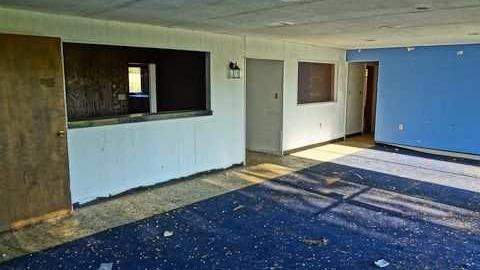 Dog days - DSC01115.jpg