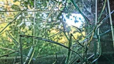 Dog days - DSC01116.jpg