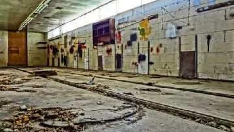 Dog days - DSC01120.jpg