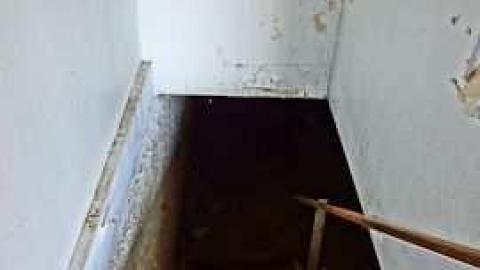 Dog days - DSC01127.jpg