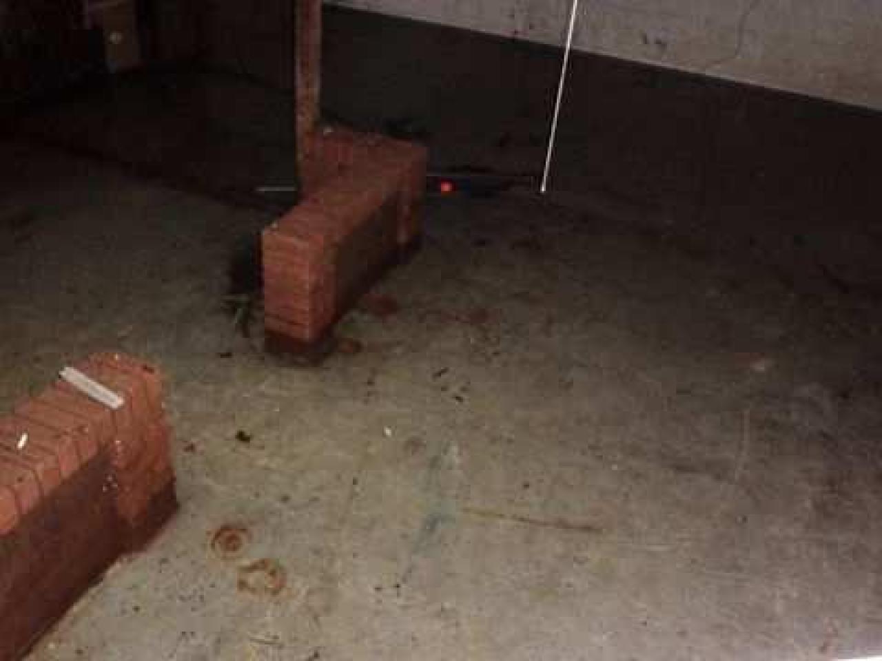 Dog days - DSC01131.jpg