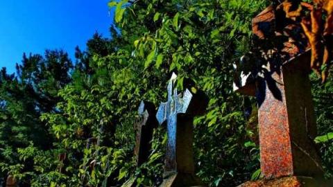 Sign of tough times - Highway-6n6---Pioneer-Cemetery20.jpg