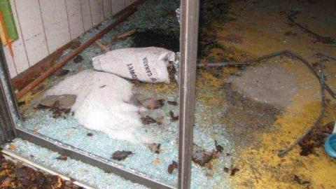 Gallery - Barn-Style-Shed2.jpg