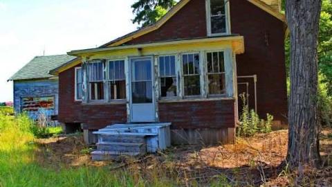 Fred's Farm - IMG_2369lico.jpg