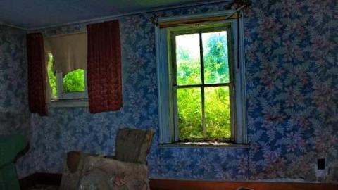 Fred's Farm - IMG_2375lico.jpg