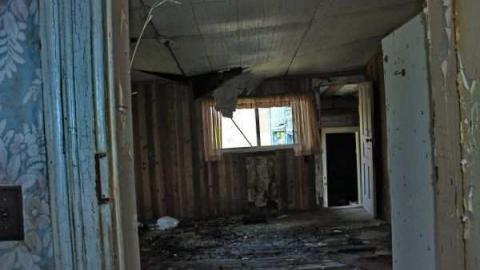 Fred's Farm - IMG_2376li.jpg