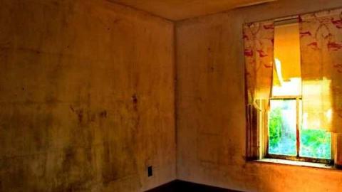 Fred's Farm - IMG_2377lico.jpg