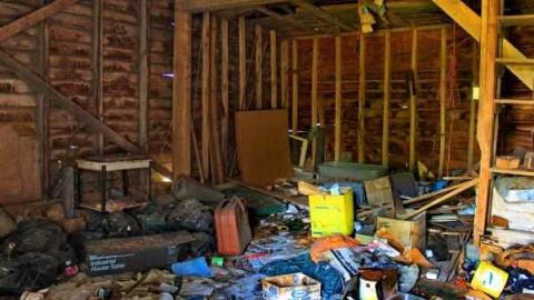 Fred's Farm - IMG_2379lico.jpg