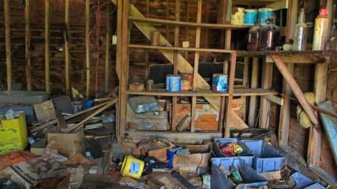 Fred's Farm - IMG_2380lico.jpg