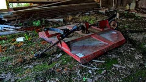 Fred's Farm - IMG_2382lico.jpg