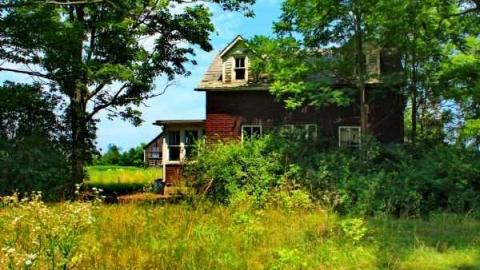 Fred's Farm - IMG_2387lico.jpg