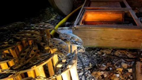 Shipwrecker's Boneyard photo 3