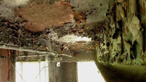 Shipwrecker's Boneyard photo 2