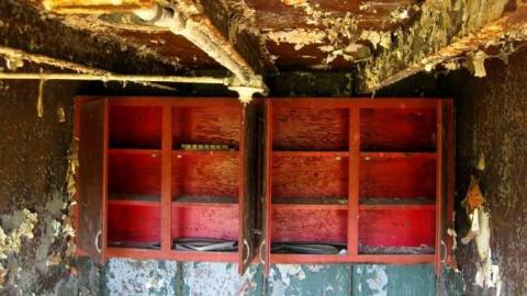 Shipwrecker's Boneyard - 016 - IMG_8393.jpg