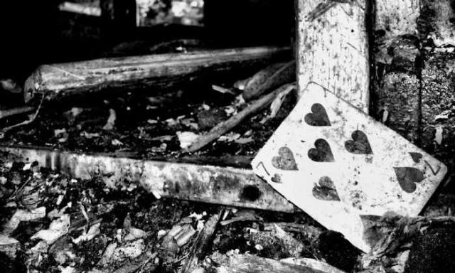 Shipwrecker's Boneyard photo 5