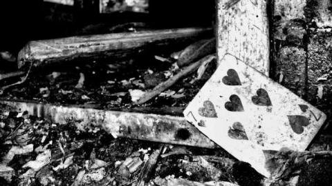 Shipwrecker's Boneyard photo 5