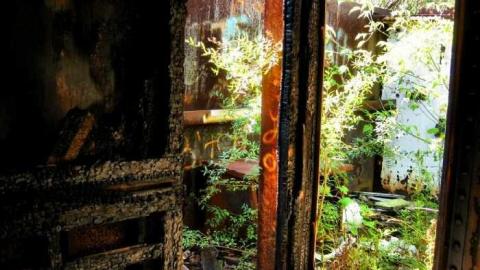 Shipwrecker's Boneyard - 023 - IMG_8431c.jpg