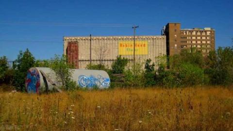 Shipwrecker's Boneyard - 035 - IMG_8350.jpg