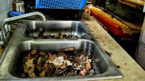 Erie Peat Trailer Dump - Erie-Peat-Trailer-Dump1.jpg