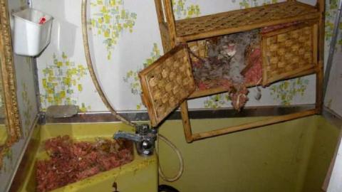 Erie Peat Trailer Dump - Erie-Peat-Trailer-Dump5.jpg