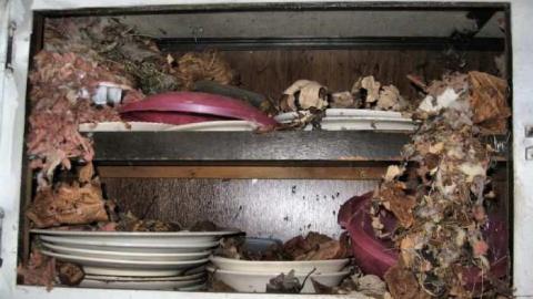 Erie Peat Trailer Dump - Erie-Peat-Trailer-Dump6.jpg