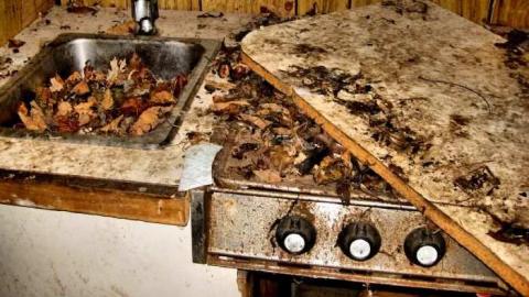 Erie Peat Trailer Dump - Erie-Peat-Trailer-Dump3.jpg